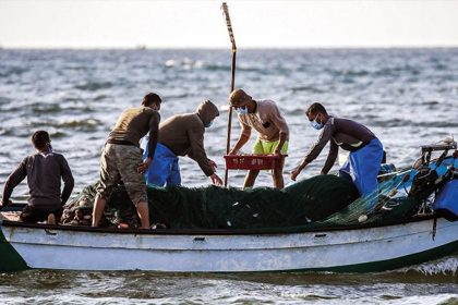 الثروة السمكية في سوريا: يمكن الرهان على السمك في الماء!